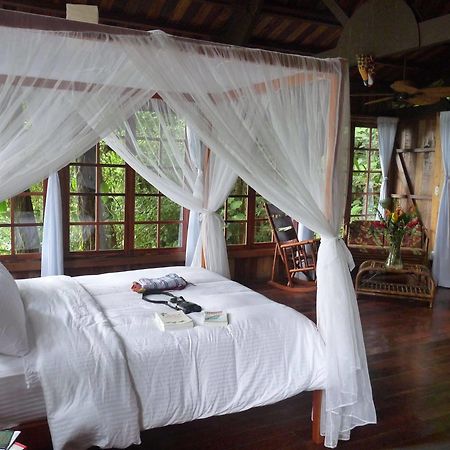 Rio Magnolia Nature Lodge Tinamaste Kültér fotó