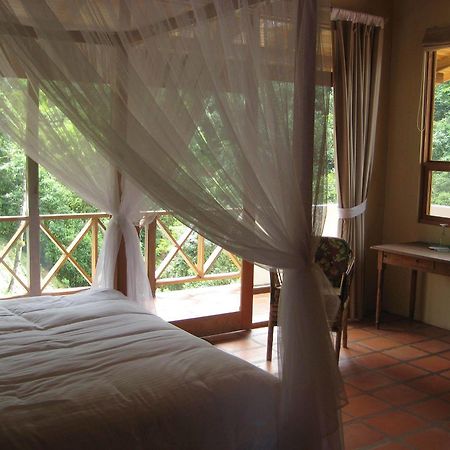 Rio Magnolia Nature Lodge Tinamaste Kültér fotó