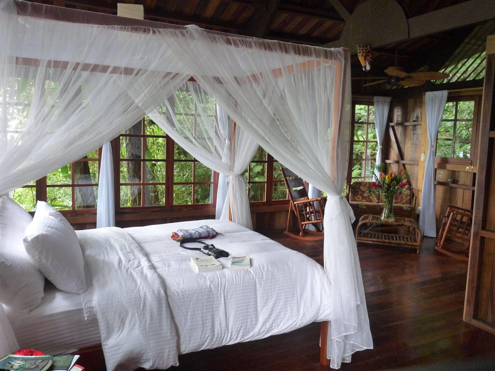 Rio Magnolia Nature Lodge Tinamaste Kültér fotó