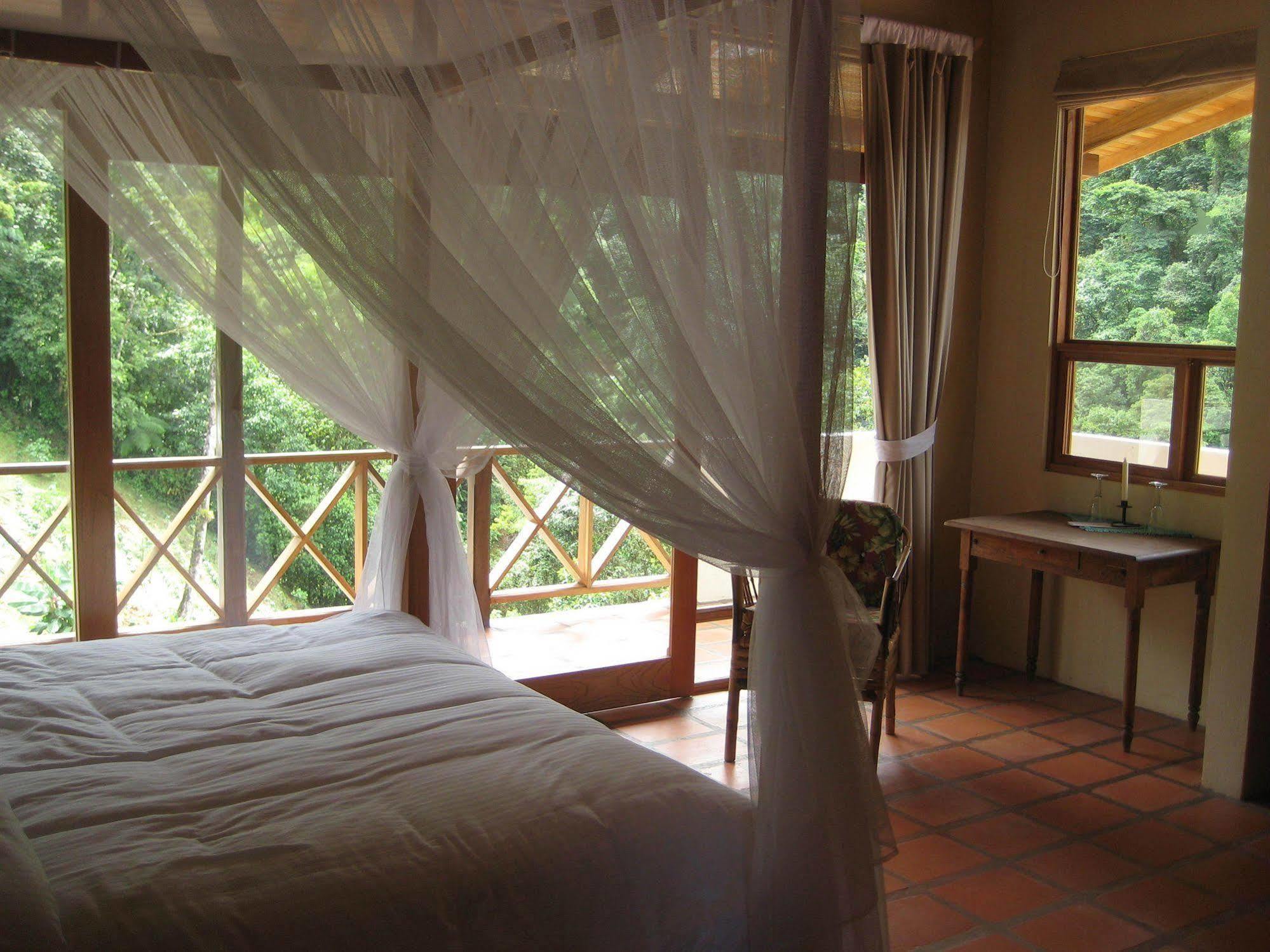 Rio Magnolia Nature Lodge Tinamaste Kültér fotó